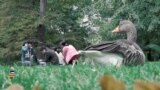Балтия: реакция на брекзит
