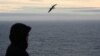 Aftermath of an earthquake struck off Russia's Far Eastern Kamchatka Peninsula